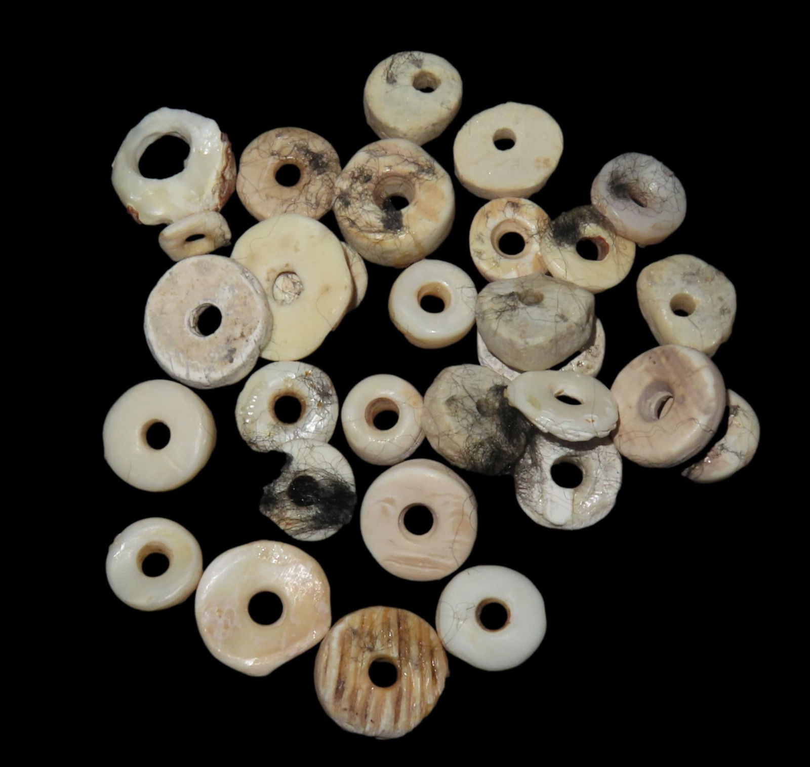 Group of Shell Beads found in Kentucky, Ex Jeff Thompson Collection (1 of 5)