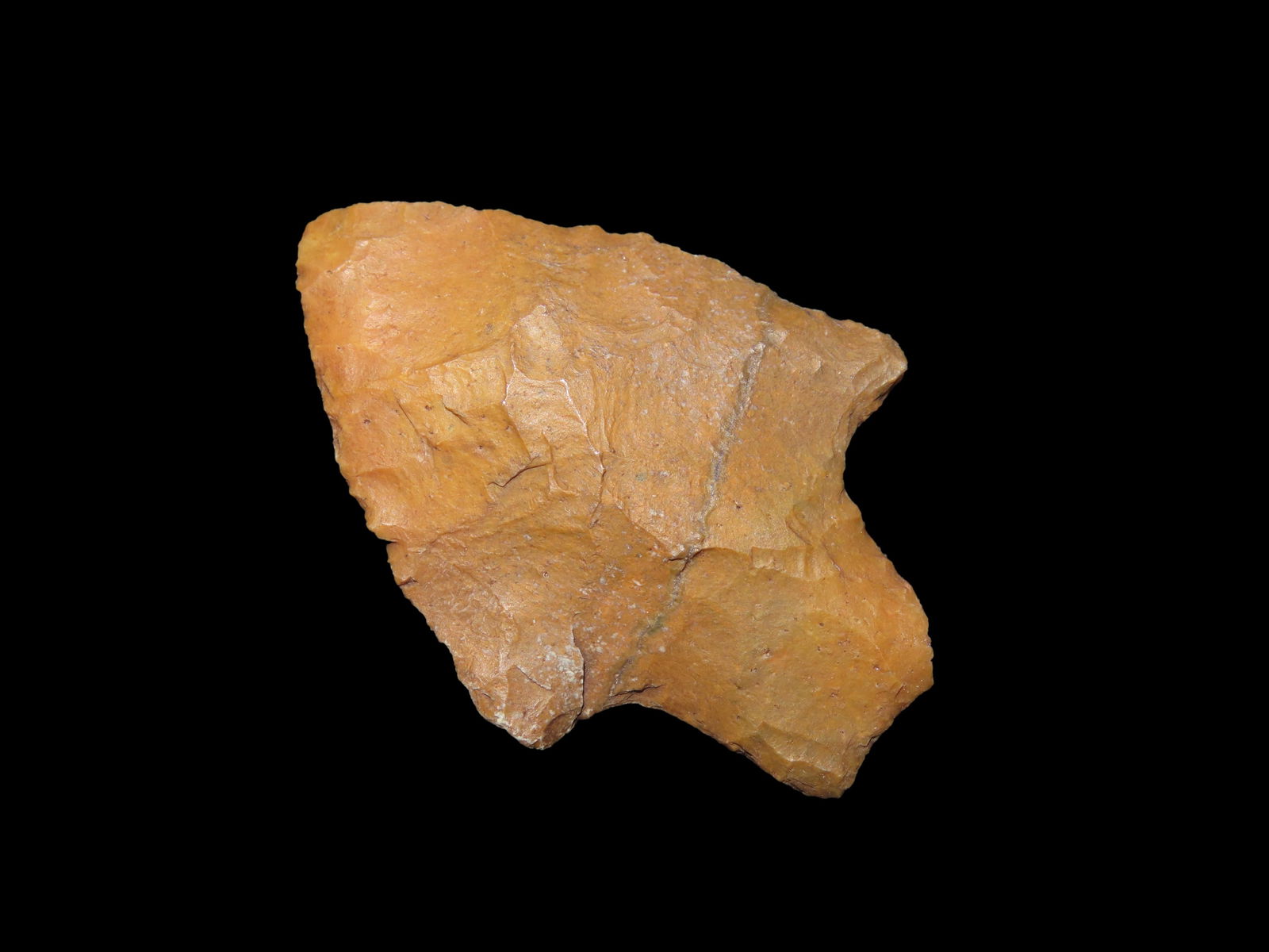 2" Newnan, found in Marion Co., Florida between 1968-2023 by Jeff Thompson (1 of 7)