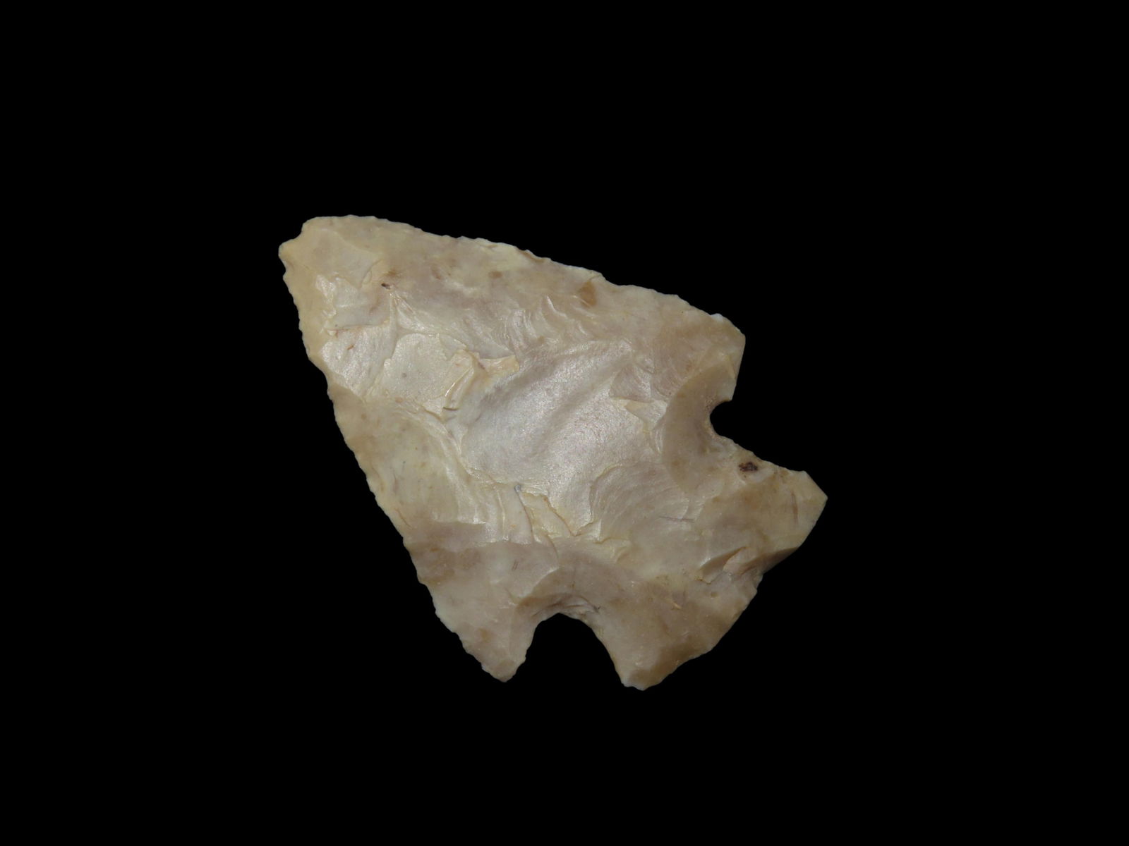 1 7/8" Hardin, found in either Florida or Georgia between 1968-2023 by Jeff Thompson (1 of 7)