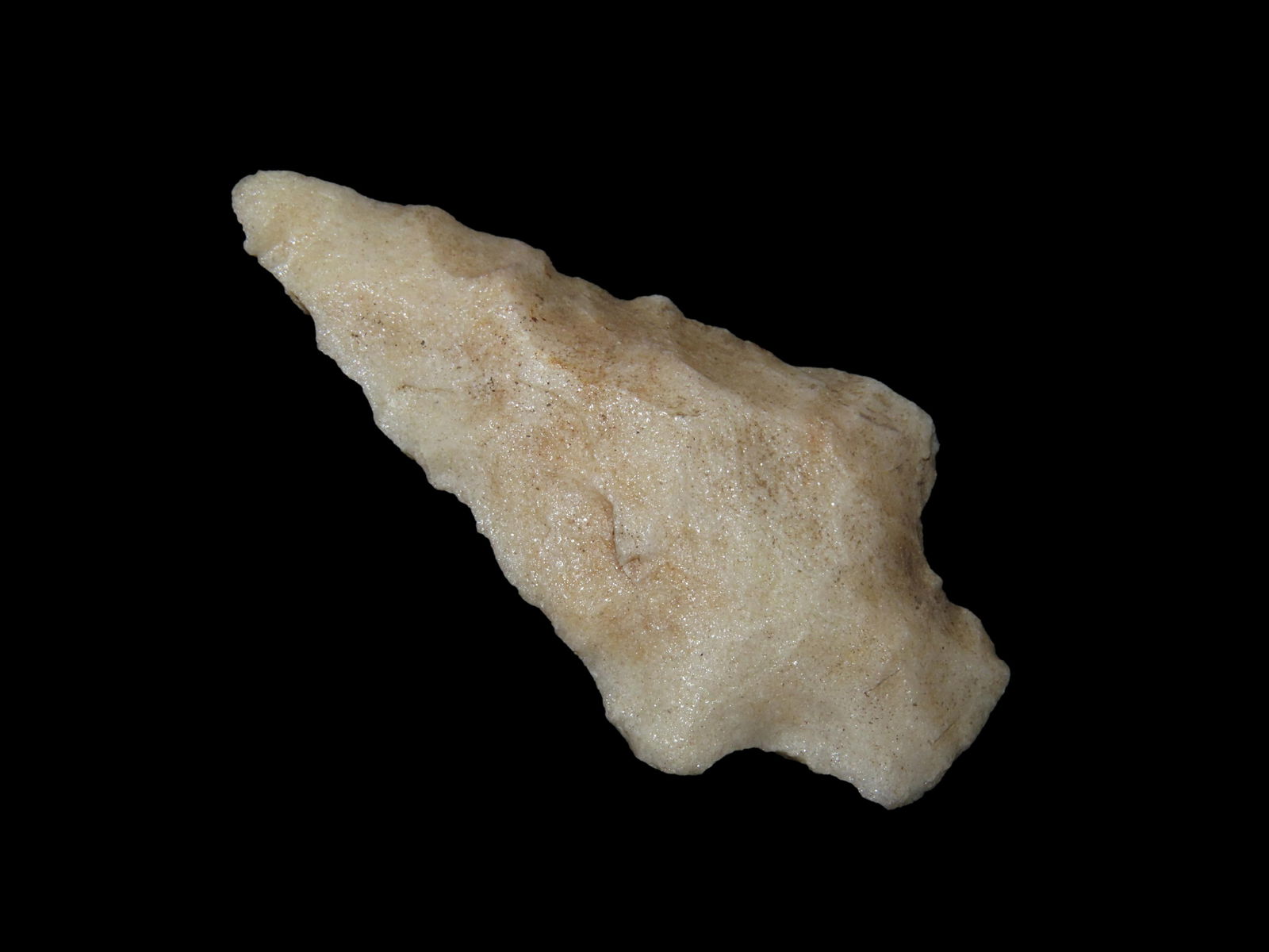 2 1/2" Newnan, found in Camden Co., Georgia between 1968-2023 by Jeff Thompson (1 of 7)