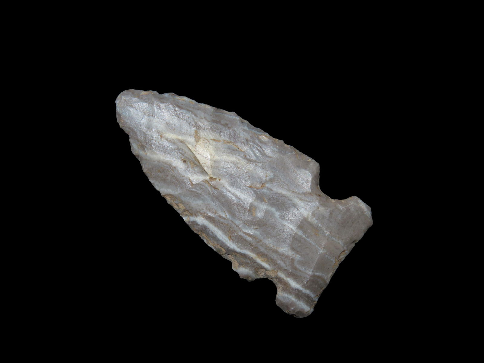 2" Bolen Straight Pt, found in Marion Co., Florida between 1968-2023 by Jeff Thompson (1 of 6)