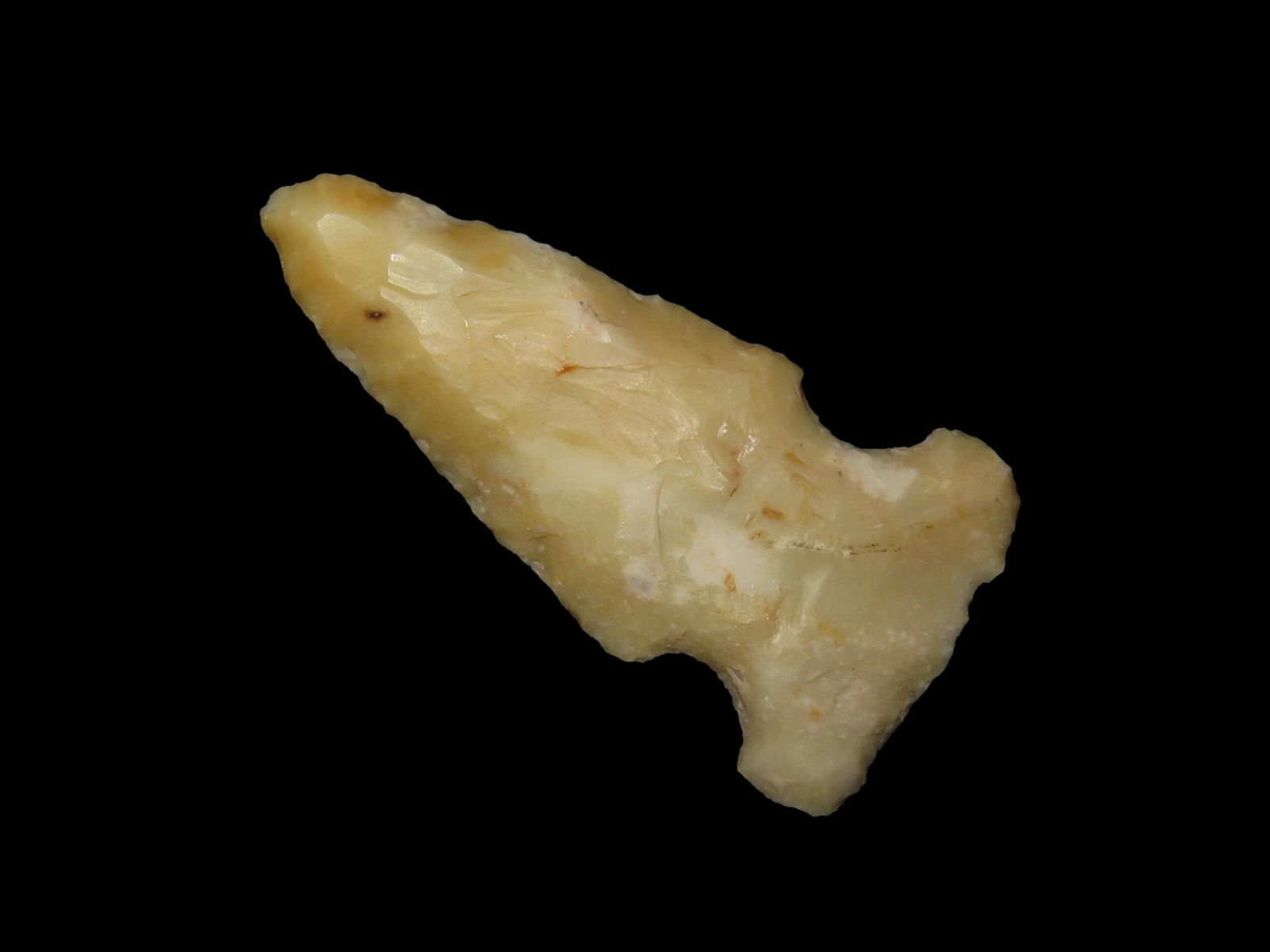 2 1/4" Bolen Plain Pt., found in Polk Co., Florida between 1968-2023 by Jeff Thompson (1 of 6)