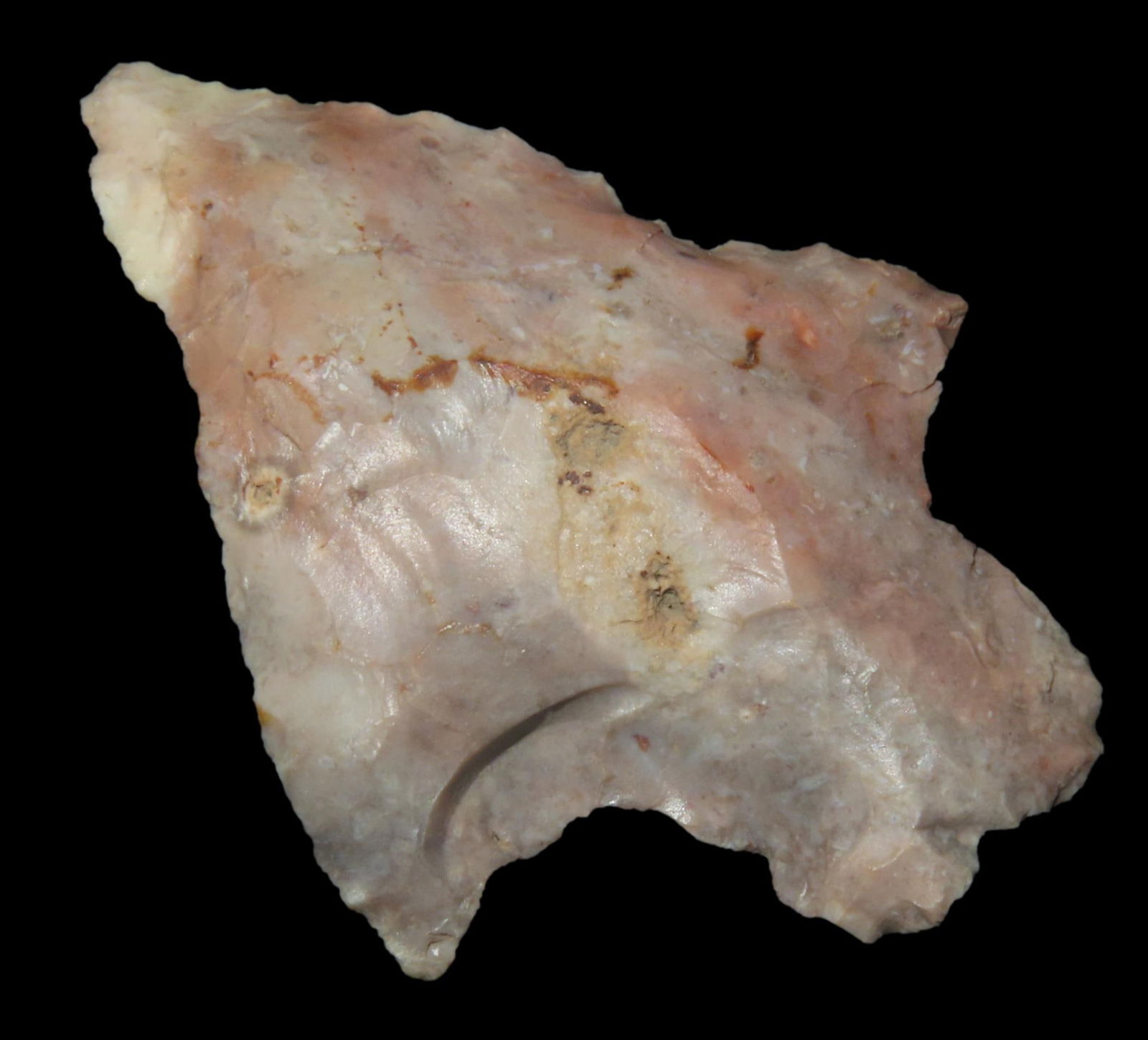 2 1/8" Marion Pt, found in Marion Co., Florida between 1968-2023 by Jeff Thompson (1 of 6)