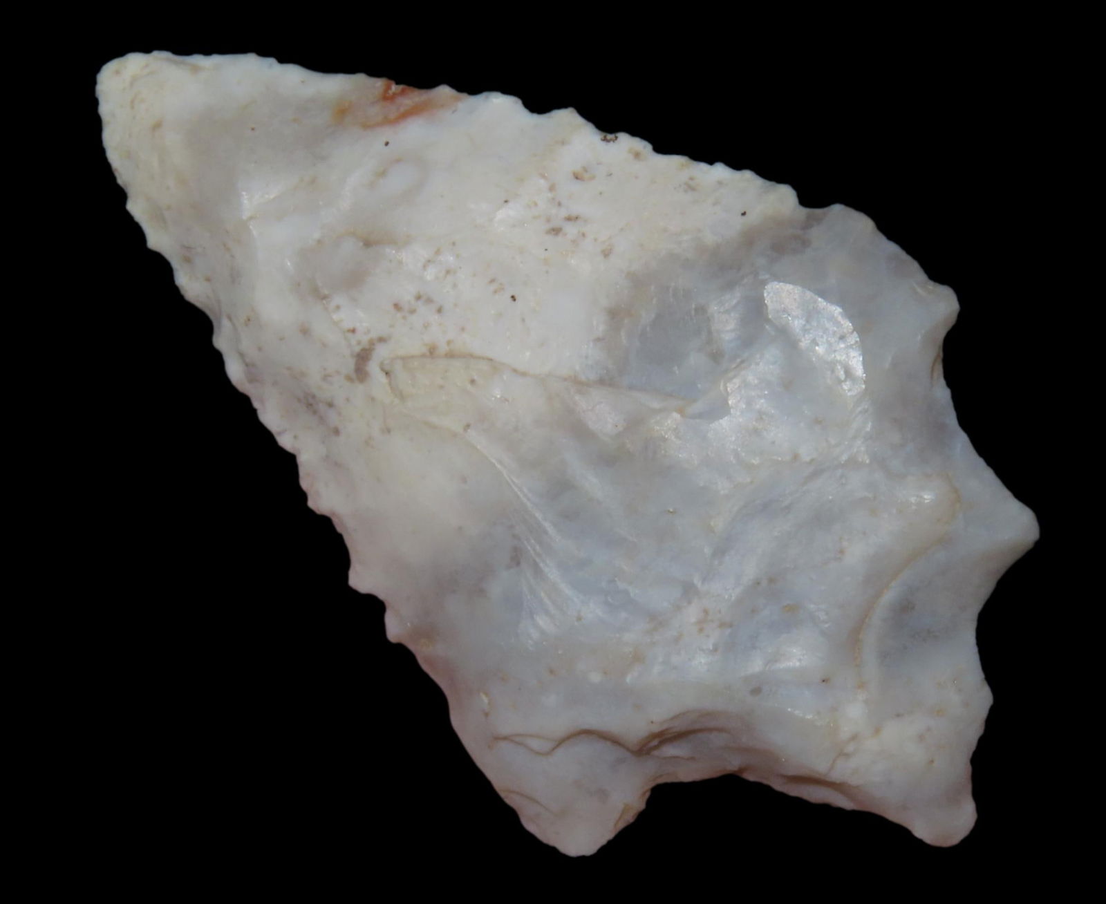 2 1/8" Seminole Pt., found in Nassau Co., Florida between 1968-2023 by Jeff Thompson (1 of 5)