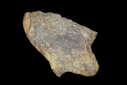 2 3/4" Adena, found in Camden Co., Georgia between 1968-2023 by Jeff Thompson