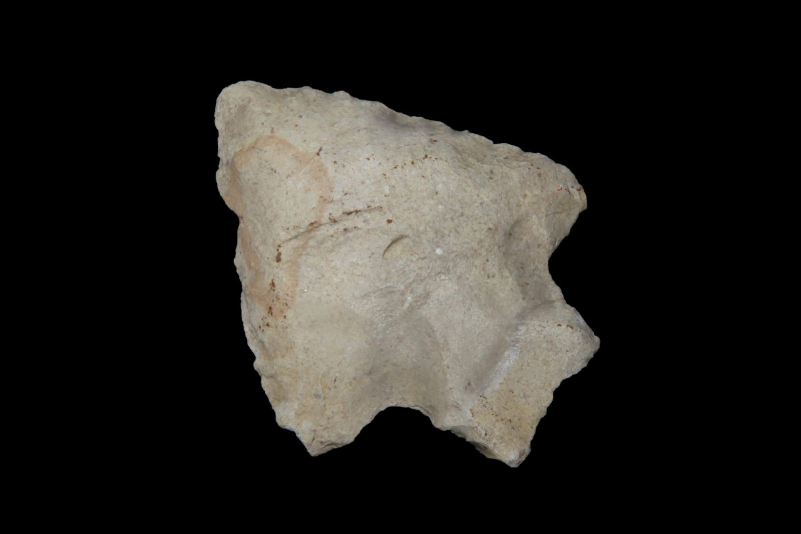 2" Seminole Pt, found in Marion Co., Florida between 1968-2023 by Jeff Thompson (1 of 8)