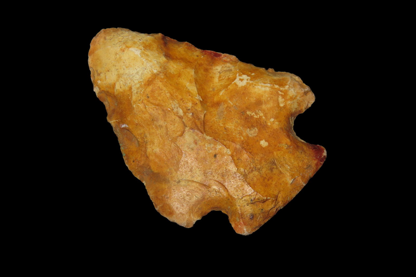 2" Bolen Pt, found in either Florida or Georgia between 1968-2023 by Jeff Thompson (1 of 8)