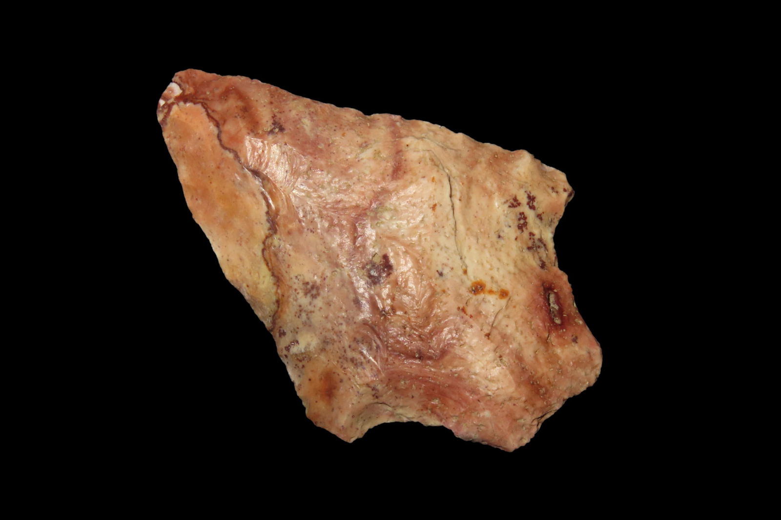 2" Seminole, found in Marion Co., Florida between 1968-2023 by Jeff Thompson (1 of 6)