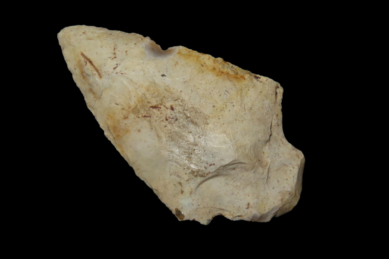 2 1/2" Abbey Pt, found in either Florida or Georgia between 1968-2023 by Jeff Thompson (1 of 6)