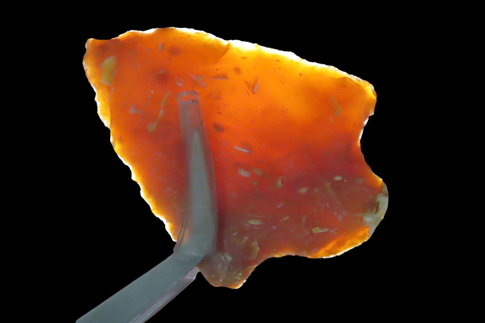 2 3/16" Abbey Pt, found in either Florida or Georgia between 1968-2023 by Jeff Thompson (1 of 7)