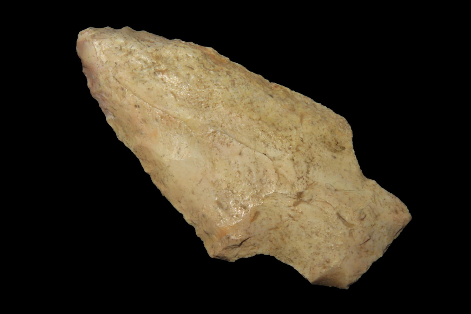 2 3/16" Alachua, found in either Florida or Georgia between 1968-2023 by Jeff Thompson (1 of 6)