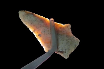 2 1/4" savannah River, found in either Florida or Georgia between 1968-2023 by Jeff Thompson