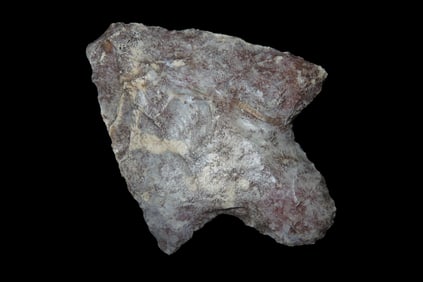 2 3/16" Marion Pt, found in either Florida or Georgia between 1968-2023 by Jeff Thompson