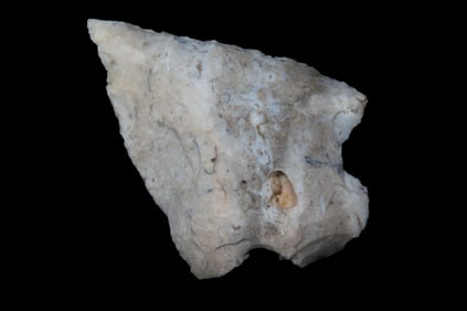 2 1/2" x 1 7/8" Cottonbridge Pt, with Geode and Fossil Inclusions, found in Florida or Georgia