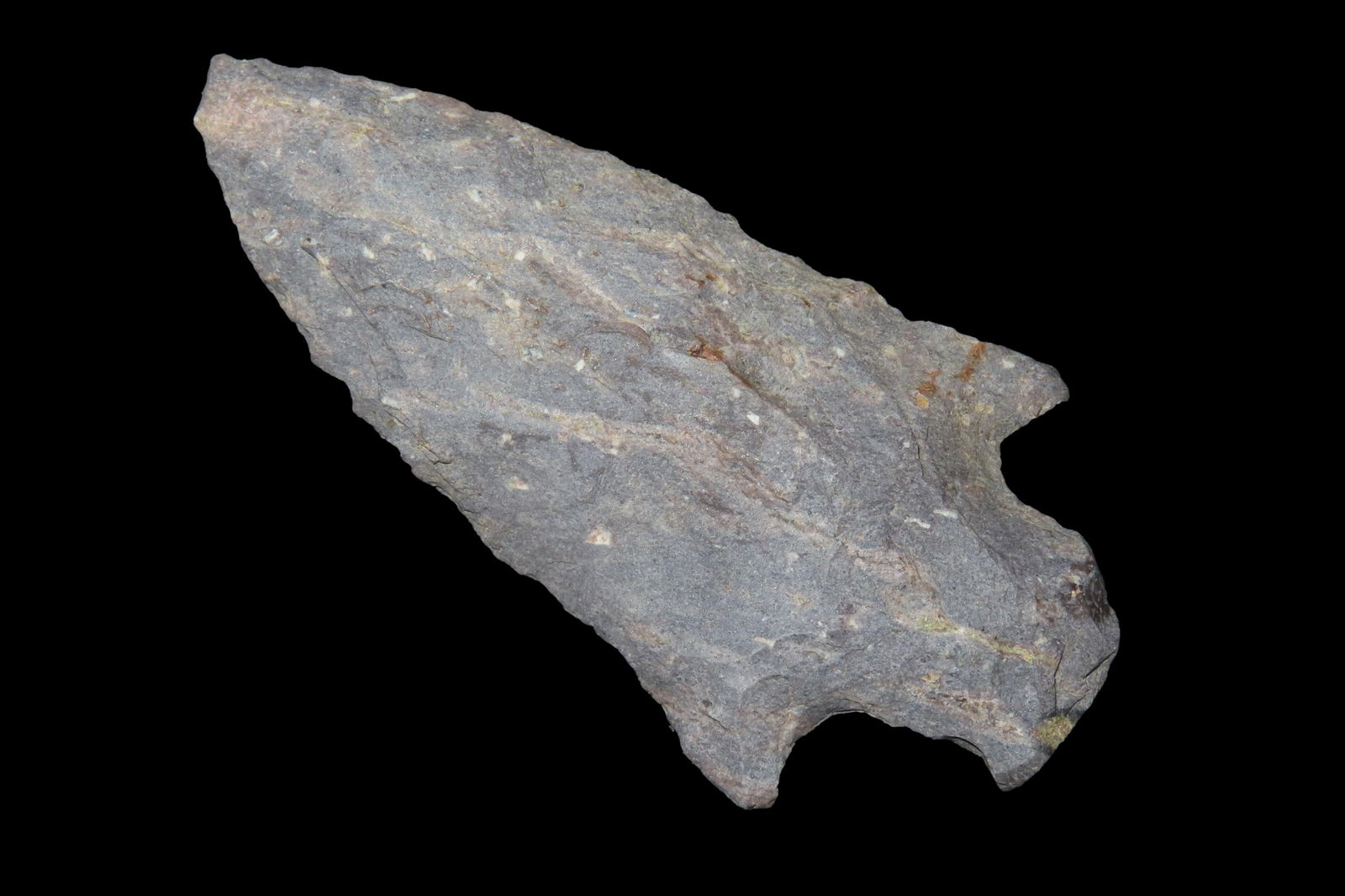 3" Pickwick, found in Marion Co., Florida between 1968-2023 by Jeff Thompson (1 of 6)