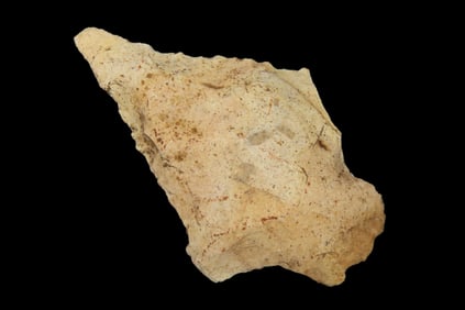 2 7/8" Six Mile Creek Pt, found in Marion Co., Florida  between 1968-2023 by Jeff Thompson