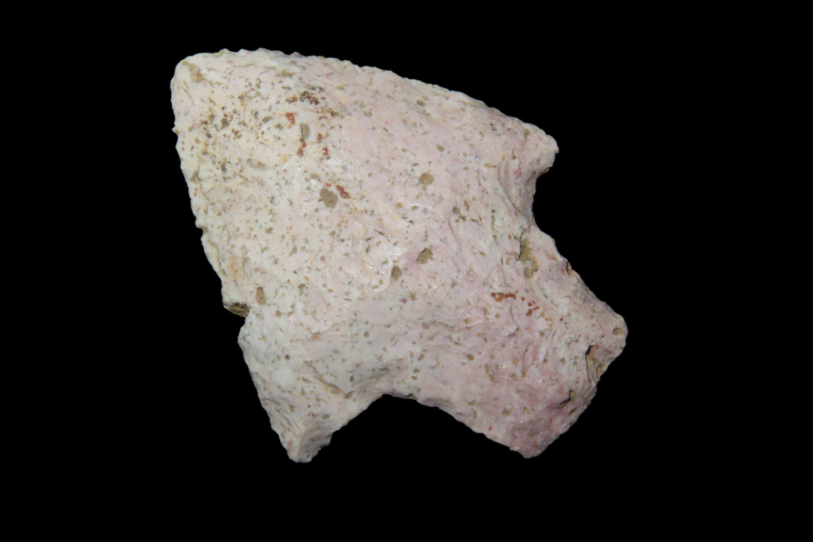 2 7/8" Marion Pt, found in either Florida or Georgia between 1968-2023 by Jeff Thompson (1 of 6)