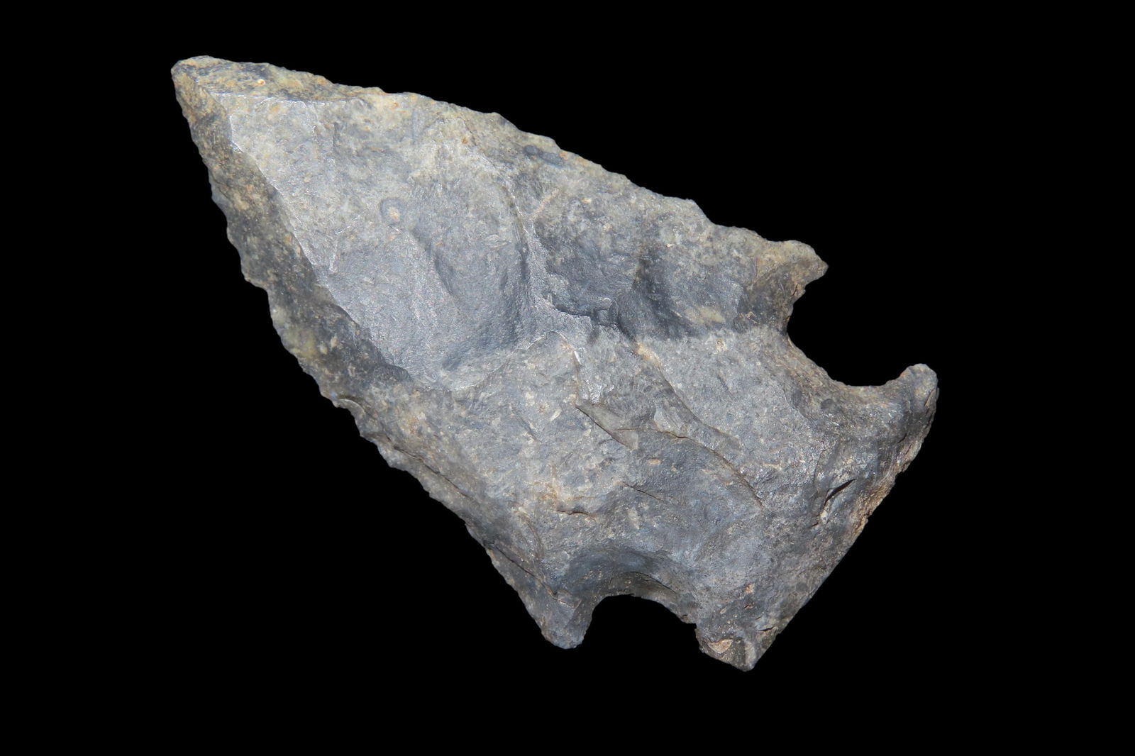 2 1/8" Bolen Bevel Pt, found in either Florida or Georgia between 1968-2023 by Jeff Thompson (1 of 6)