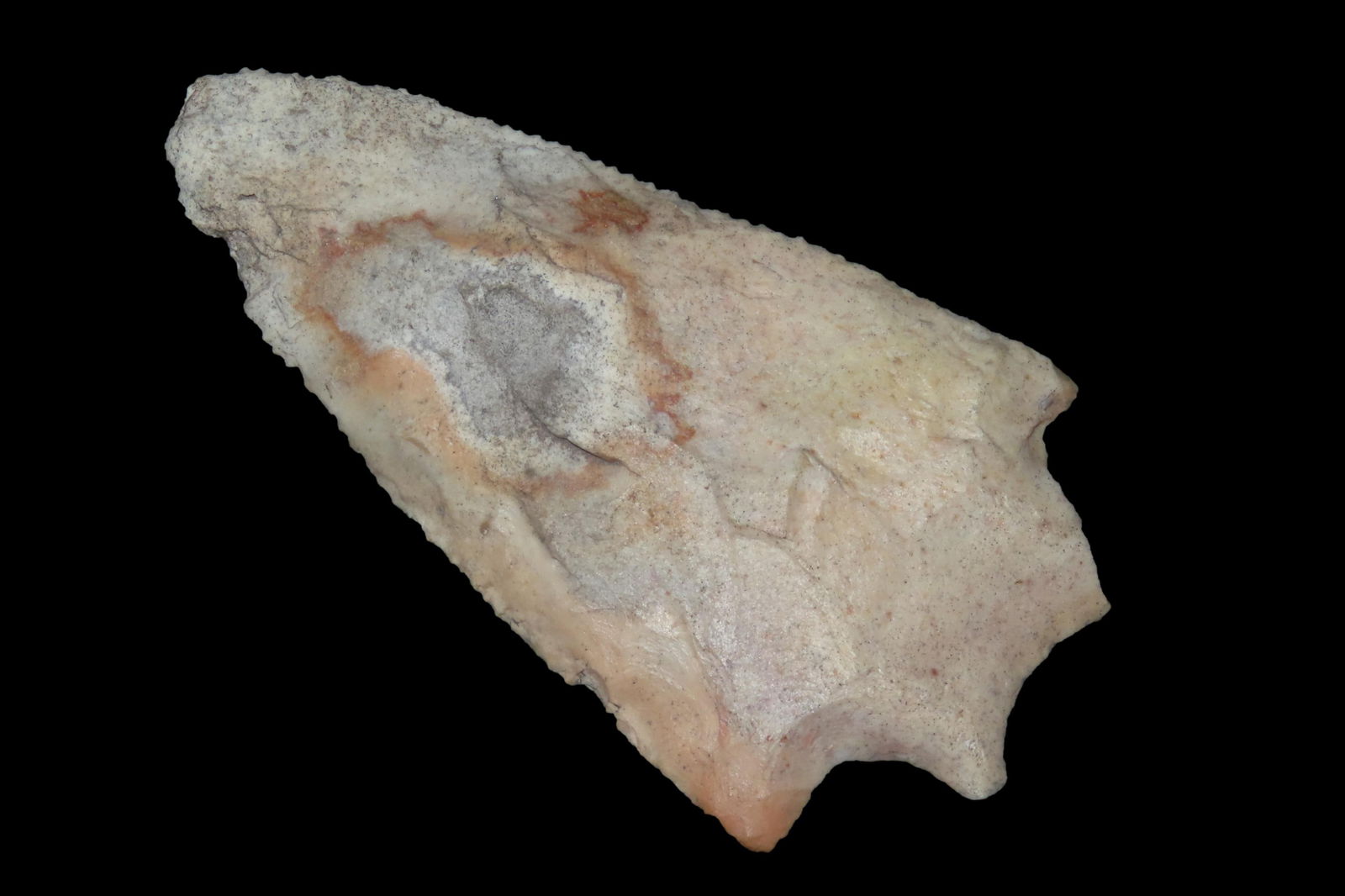 4" Wacissa Pt, found in either Florida or Georgia between 1968-2023 by Jeff Thompson (1 of 6)