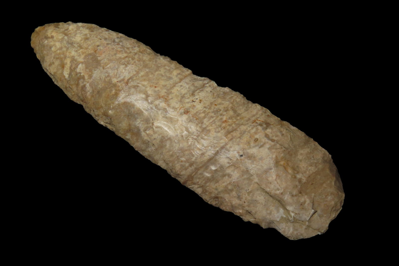 4 1/2" Cobbs Blade, found in Marion Co., Florida between 1968-2023 by Jeff Thompson (1 of 6)