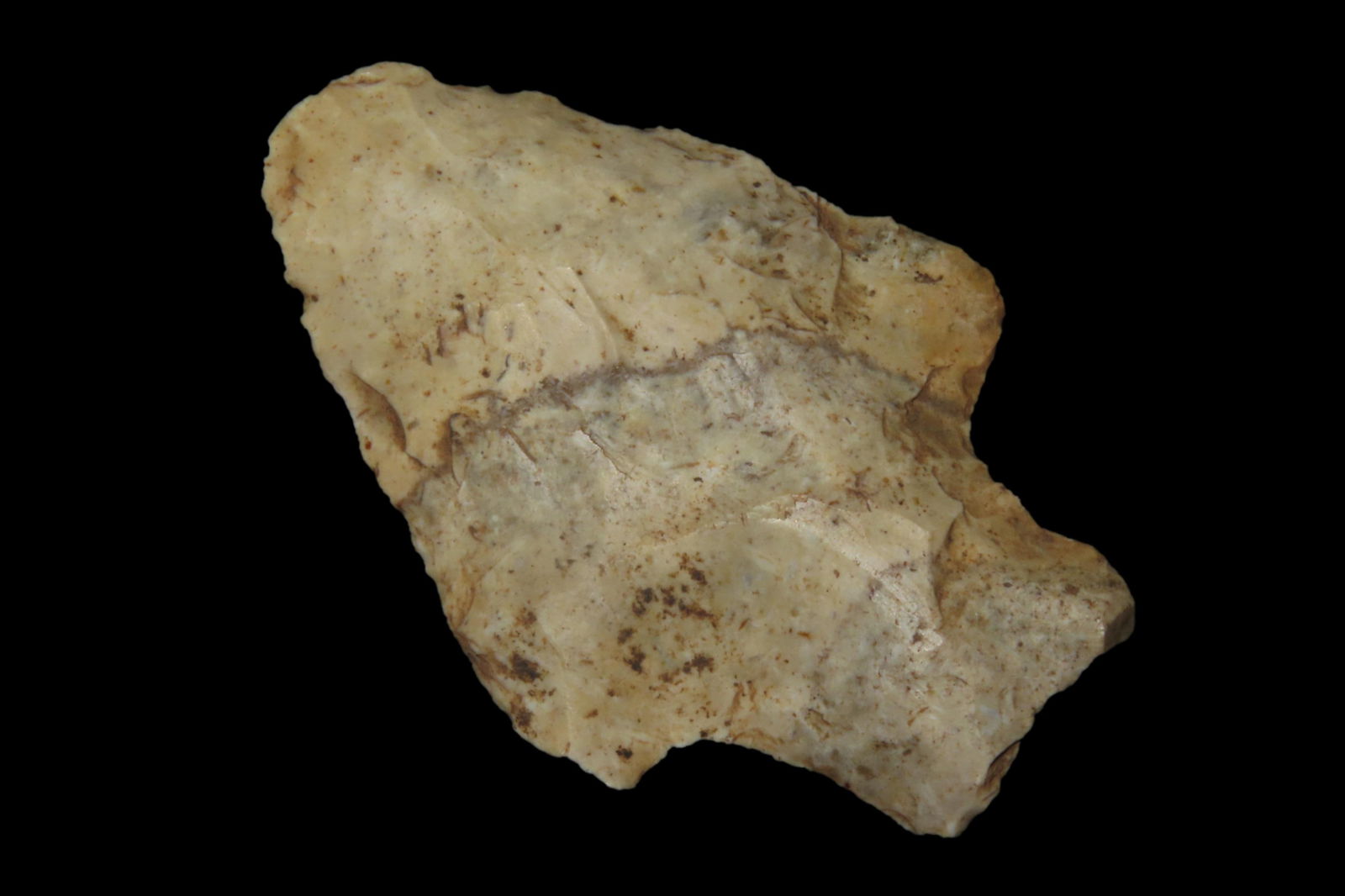 2 3/8" Seminole Pt, found in Marion Co., Florida between 1968-2023 by Jeff Thompson (1 of 6)