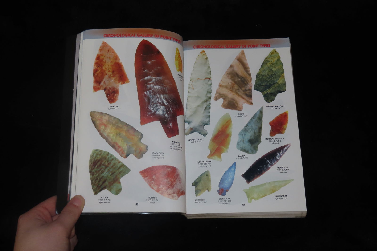 7th Edition Overstreet - 3