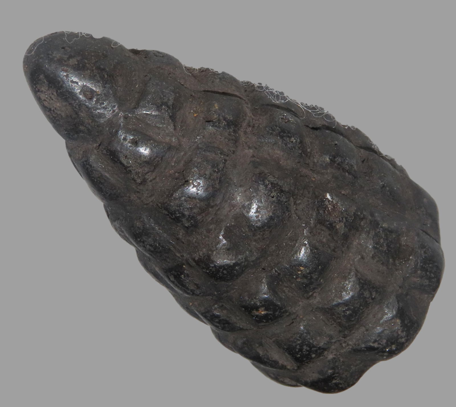 2 1/2" x 1 3/8" Hematite Corn Effigy Talisman, Motley COA, found in Peru, Ex Steve Barras Estate (1 of 7)