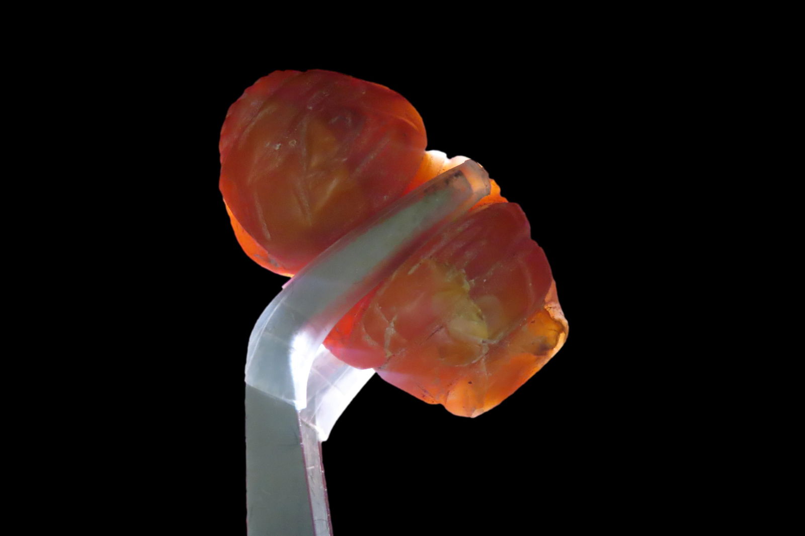 3/4" x 1 5/16" Pre-Columbian Zoomorphic Human Effigy Pendant, Motley COA, found in Central America, (1 of 14)