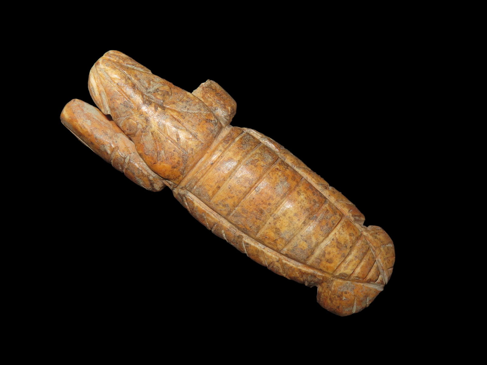 3 1/4" x 1 1/8" Pre-Columbian Bone Lobster Effigy, found in Peru, South America (1 of 6)