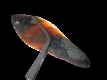 4 5/16" X 1 1/2" Danish Flint Spear, Motley COA, Found in Northern Europe