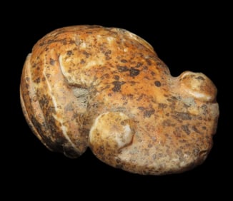 3/4" X 1 3/16" Pre-Columbian Frog Pendant, Motley COA, Found in Peru