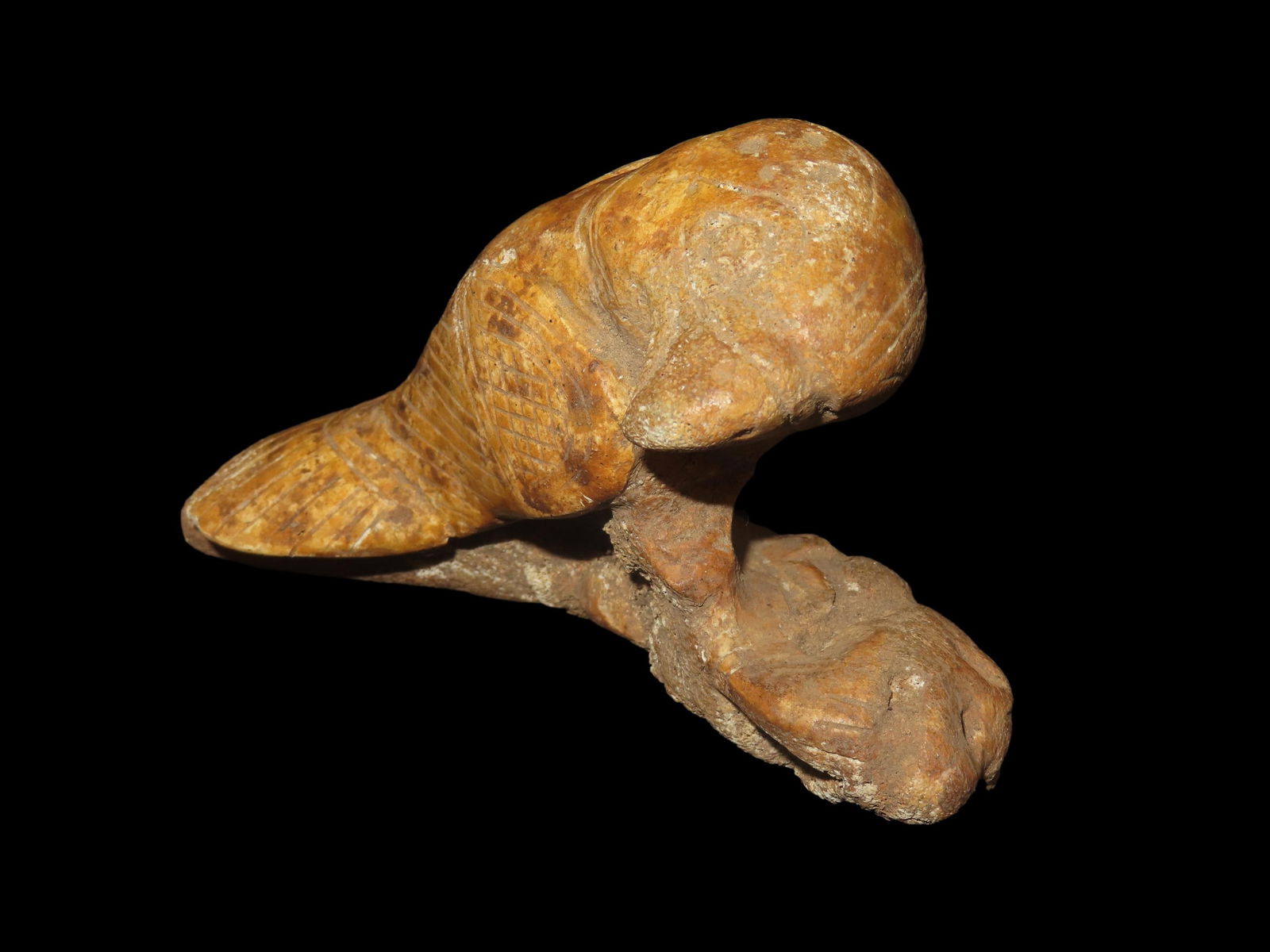 5 1/2" X 3 1/2" Zoomorphic Effigy Idol, Motley COA, Found in Central America (1 of 7)