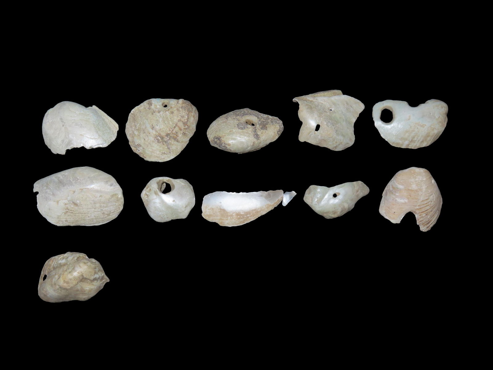 Set Of 10 Mississippian Era Shell Beads,Found Near Cahokia Madison Co. ILL (1 of 3)