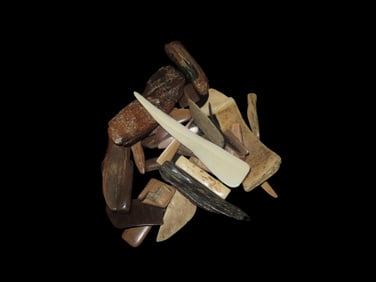 Amazing Group Of Alaska Mammoth Mastodon Fossilized Tusk Polished