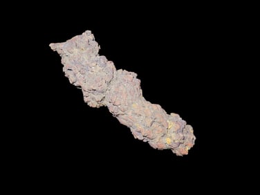 Coprolite Fossil Dinosaur poop 100 Million Years Old Madagascar