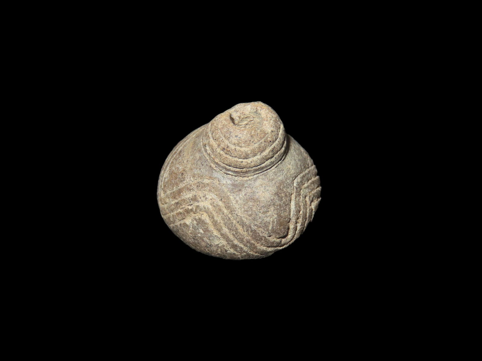 Effigy Bead Of A Temple Mound Pre Columbian Bead Nicely Engraved Machalilla Culture 1500-BCE to 100 (1 of 6)