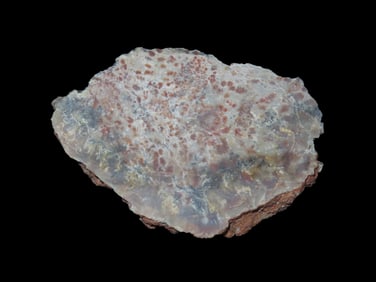 Jurassic Dinosaur Poop Fossil Coprolite , Age 156-146 million Years Old  Discovered in Utah