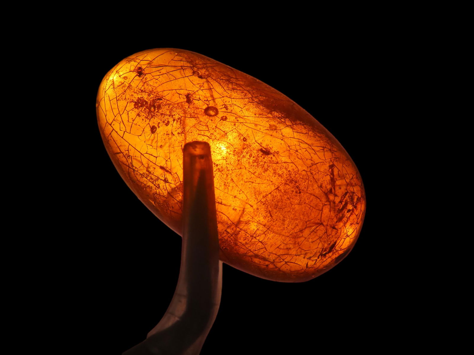 Fossil Amber Found In Europe Private Collection Penn (1 of 7)