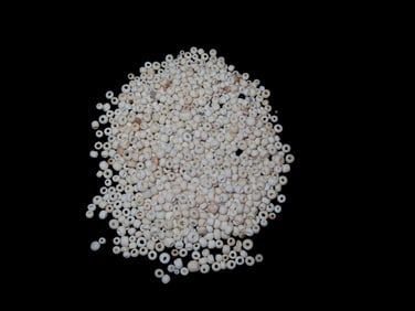 Well Over 100 Early Trade Beads Found As A Cache Northern Georgia