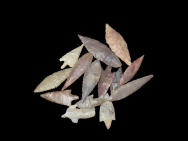 Saharan Neolithic Sahara Desert 4000-6000 Years BP 15 Arrowheads