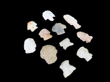 Selection Of 10 Blunt Stunner Arrowheads Found in Jackson Co. ILL EX: Randall Kimbrell