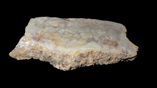 Jurassic Dinosaur Poop Fossil Coprolite , Age 156-146 million Years Old  Discovered in Utah