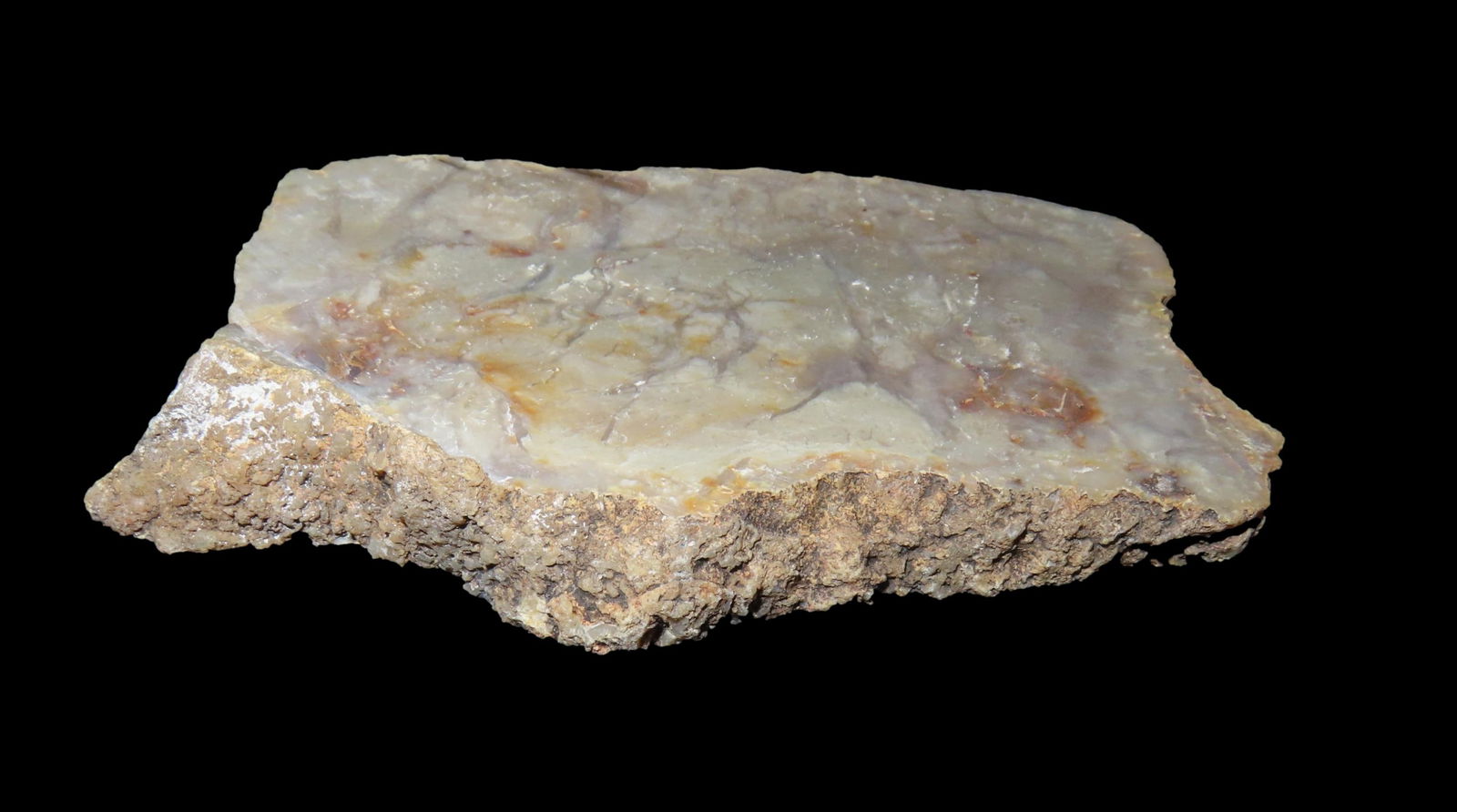 Jurassic Dinosaur Poop Fossil Coprolite , Age 156-146 million Years Old Discovered in Utah: Jurassic Dinosaur Poop Fossil Coprolite , Age 156-146 million Years Old Discovered in Utah