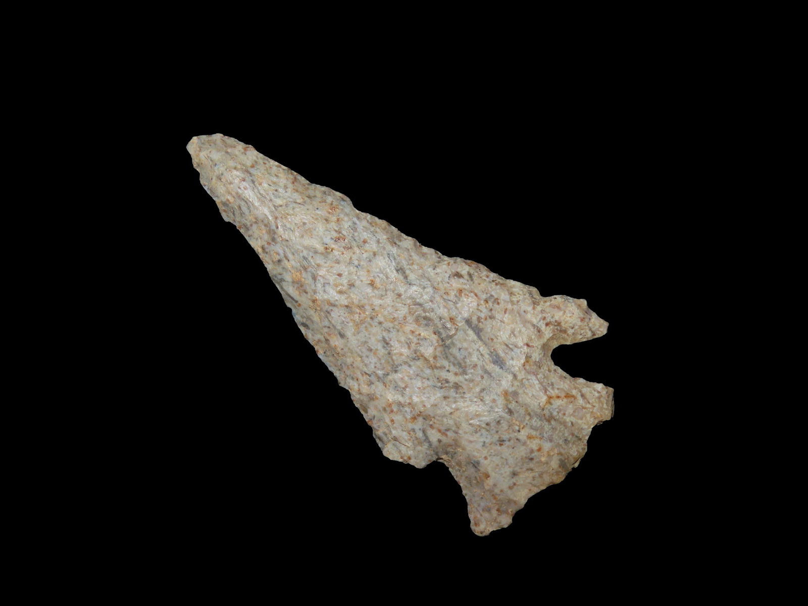 3 1/8" Lost Lake Pt. Polk, Co Florida Found Between 1968-2023 By Jeff Thompson (1 of 7)