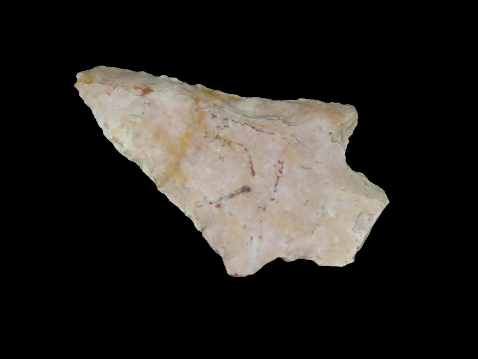 2 1/2" Pickwick Pt. Marion Co. Florida Found Between 1968-2023 Jeff Thompson (1 of 5)