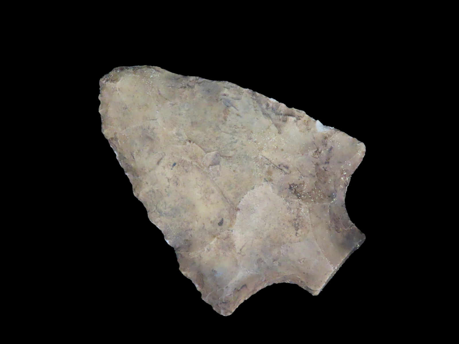 2 3/4" Six Mile Creek Pt. Brevard Co. Florida Found Between 1968-2023 By Jeff THompson (1 of 5)