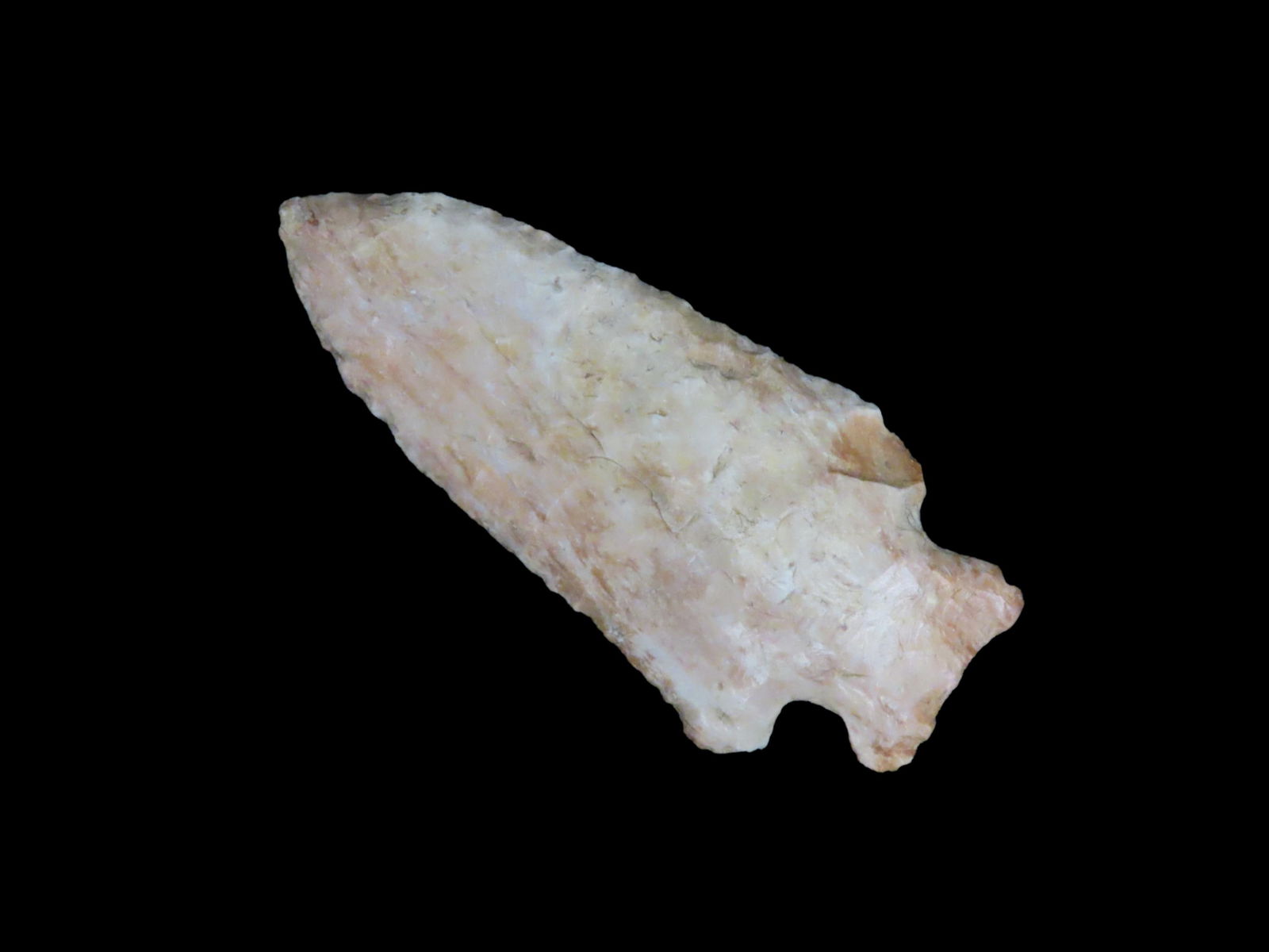 3 1/4" Hamilton Found Between 1968-2023 By Jeff Thompson In Either Brevard Seminole Nassau Broward (1 of 6)