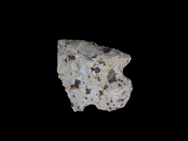 1 3/4" Abbey Found Between 1968-2023 By Jeff Thompson In either Brevard, Seminole Nassau Broward