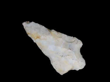 2 3/4" Levy, Pt. Nassau Co. Florida Found Between 1968-2023 By Jeff Thompson