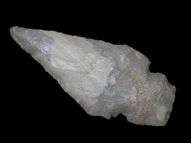 3 1/4" Turkey Tail Pt. Found In Kentucky EX: Jeff Thompson